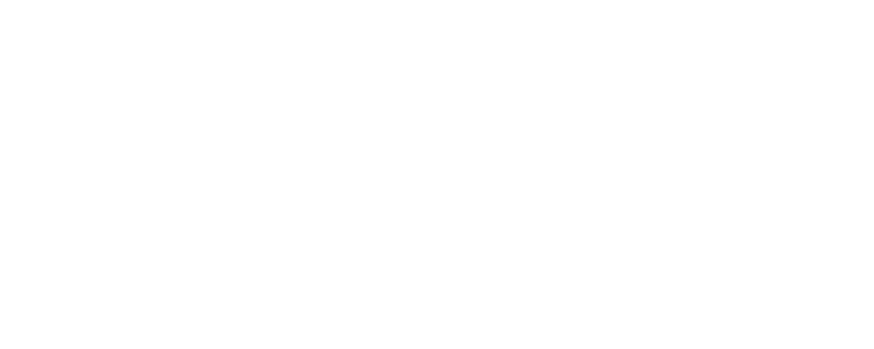 Annett Schleicher